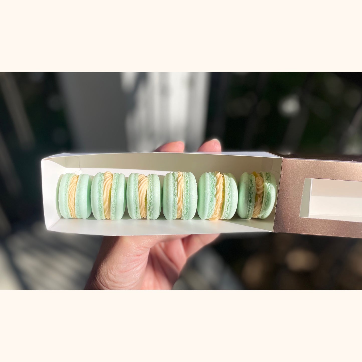 French Macarons- 1/2 Dozen